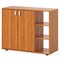 Wooden Shoe Cabinet Entryway Storage Organizer with Adjustable Shelves Double Door Shoe Rack